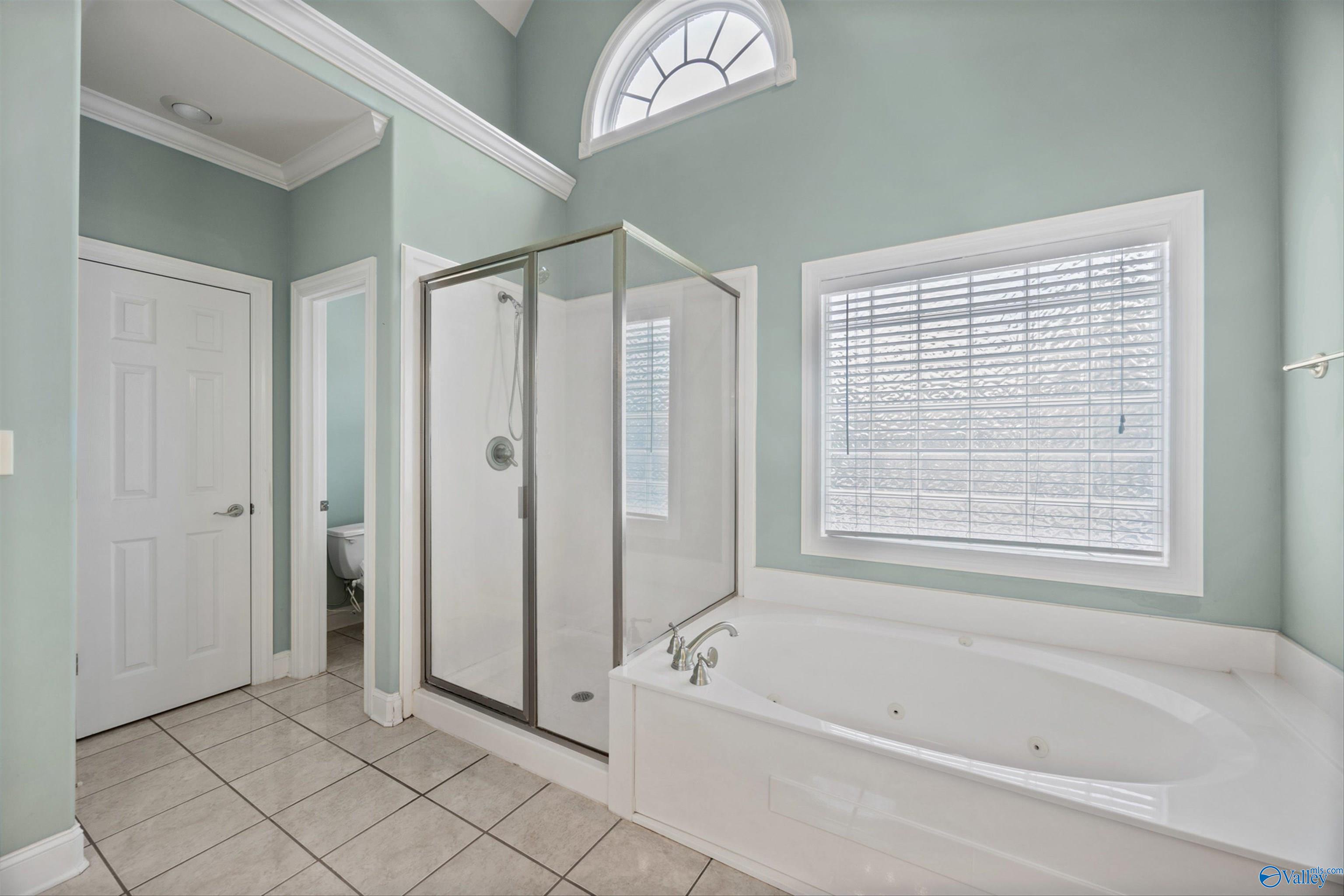 705 Marina Park Drive, Huntsville, Alabama image 16