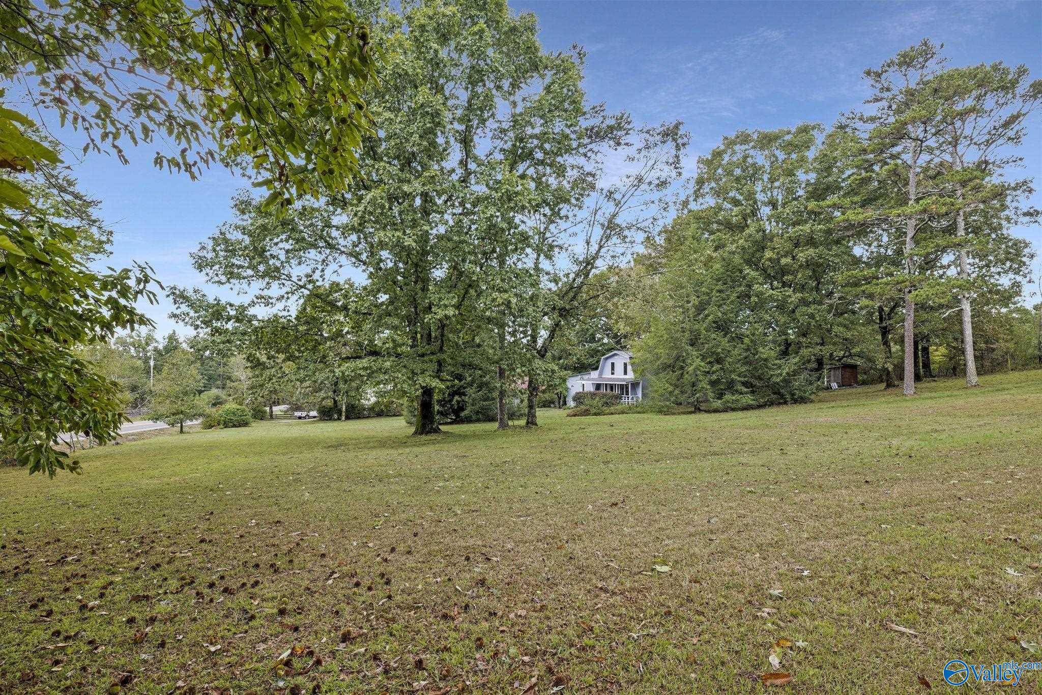 1733 Alabama Highway 117, Mentone, Alabama image 35