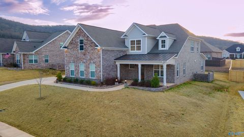 Homes For Sale - 8105 Goose Ridge Drive<br/> Owens Cross Roads, AL 35763