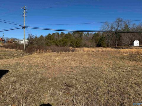 Vacant Land For Sale - 2939 N Highway 431<br/> Anniston, AL 36206