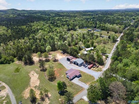 Mobile Home For Sale - 712 Meeks Road<br/> Calhoun County, Wellington, AL 36279