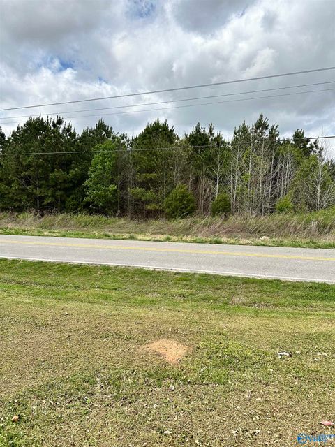 Vacant Land For Sale - LOT 6 Salem Minor Hill Road<br/> Lester, AL 35647