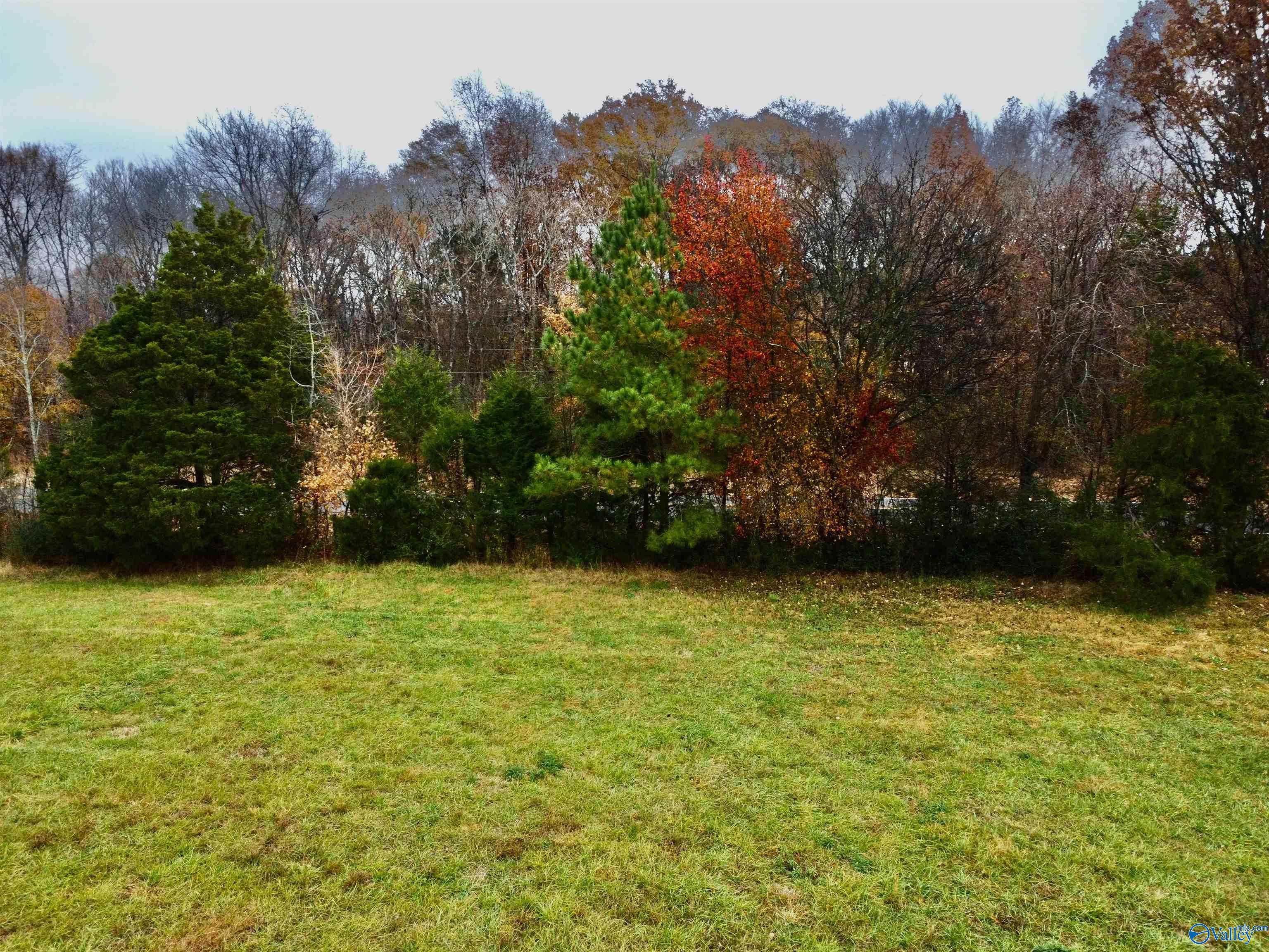 Tr 3+4 County Road 89