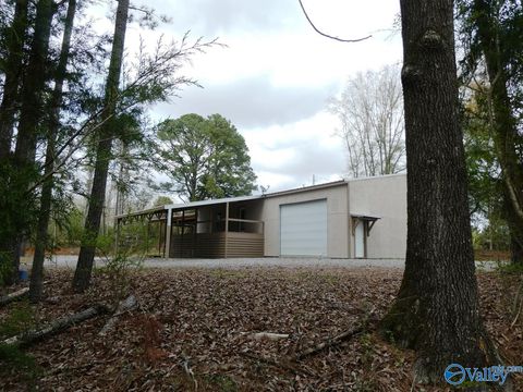 Photo of 198 County Road 224, Crane Hill, AL 35053 (MLS # 21912258)