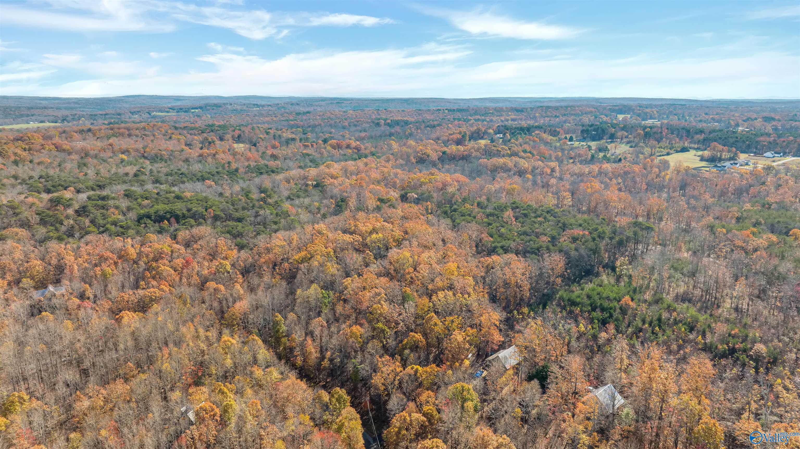 Lot 17 Citadel Rock Road, Fort Payne, Alabama image 9