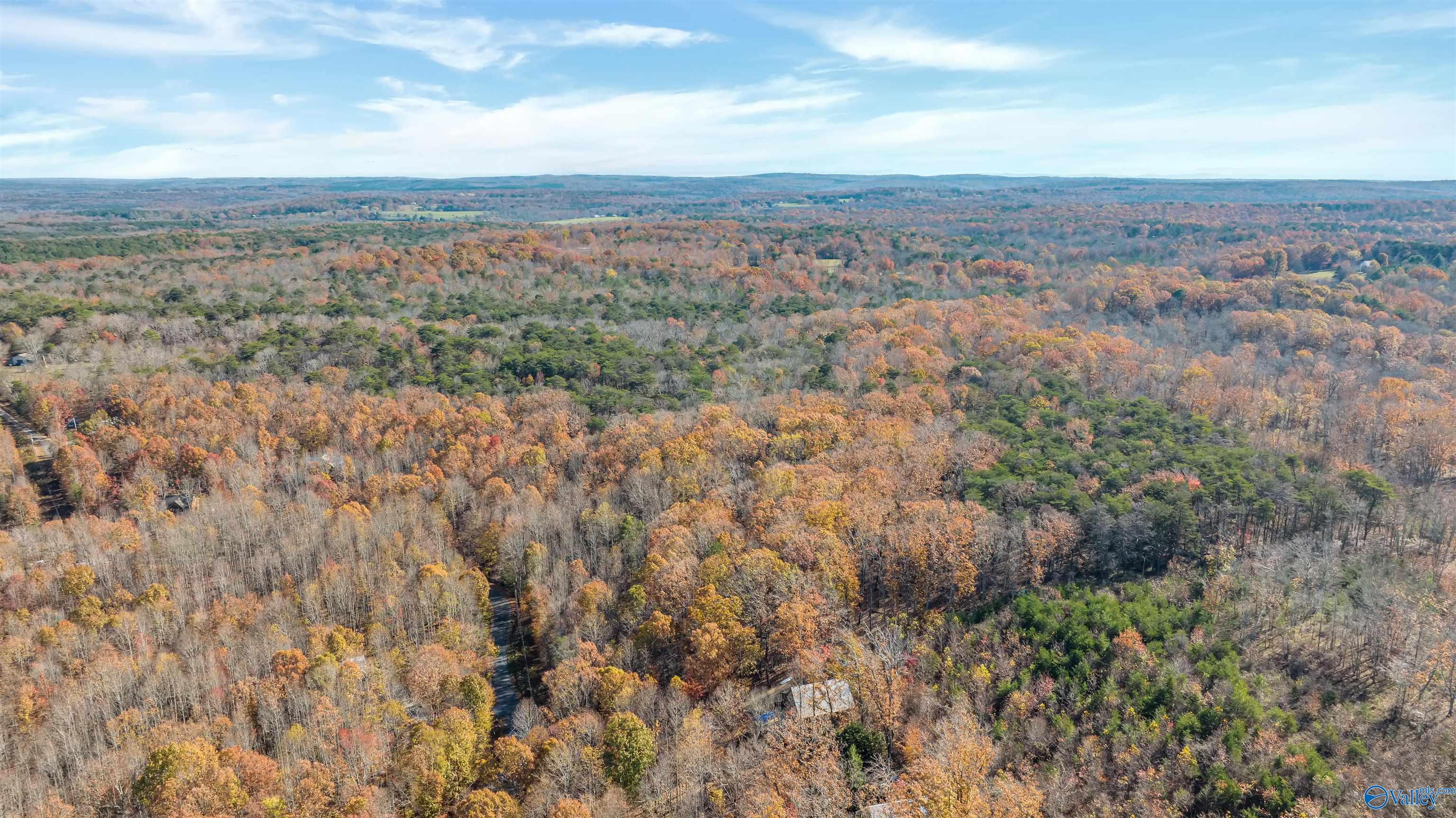 Lot 17 Citadel Rock Road, Fort Payne, Alabama image 11