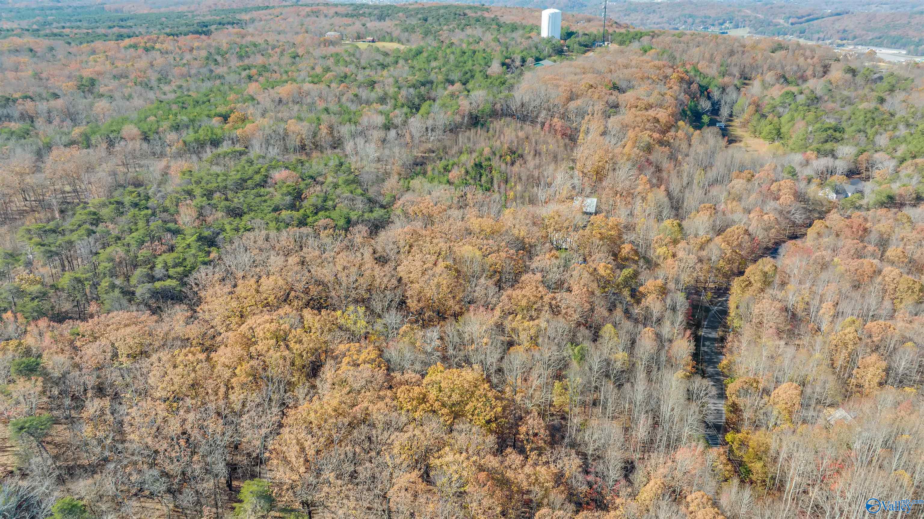 Lot 17 Citadel Rock Road, Fort Payne, Alabama image 6