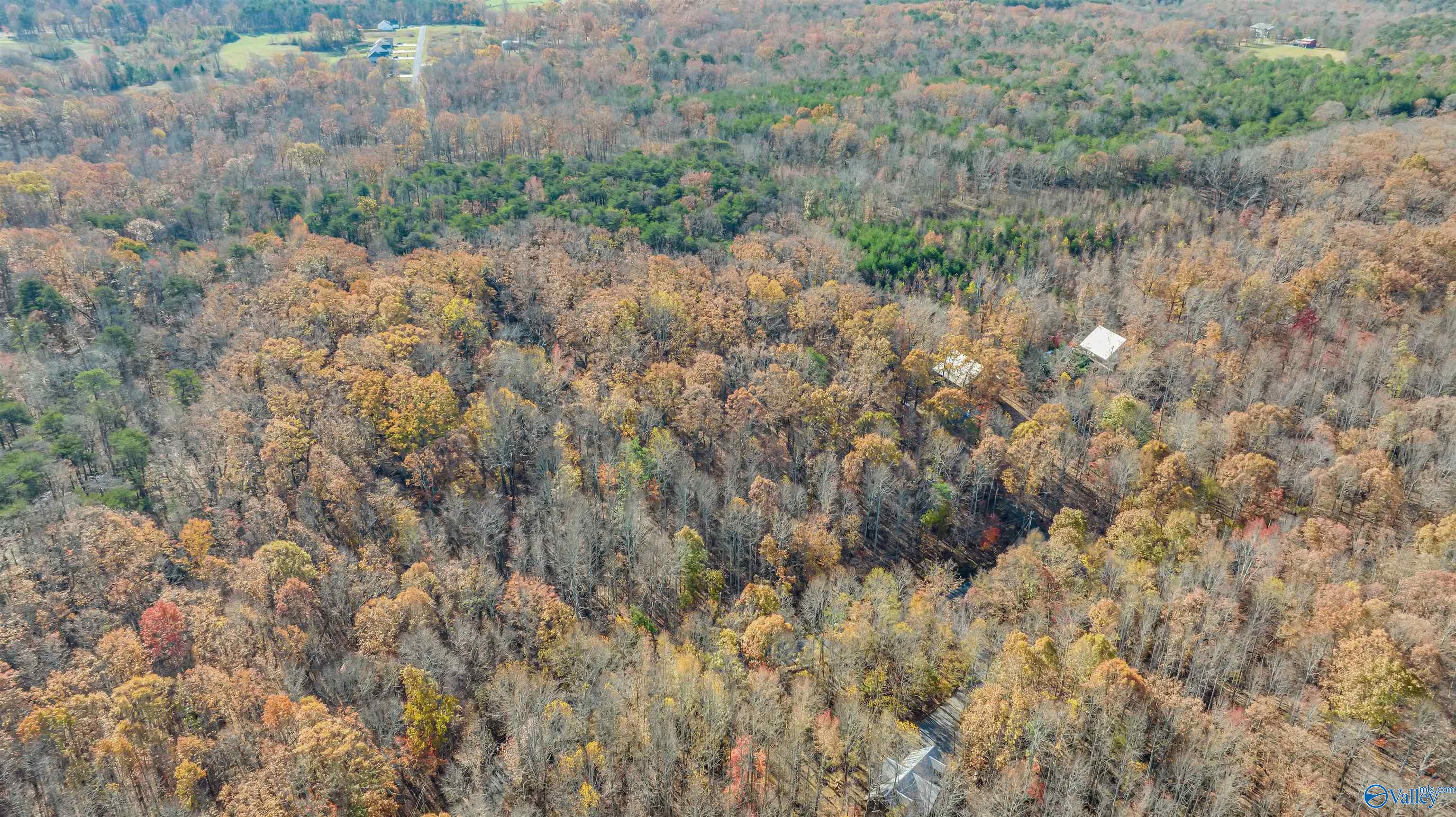 Lot 17 Citadel Rock Road, Fort Payne, Alabama image 7