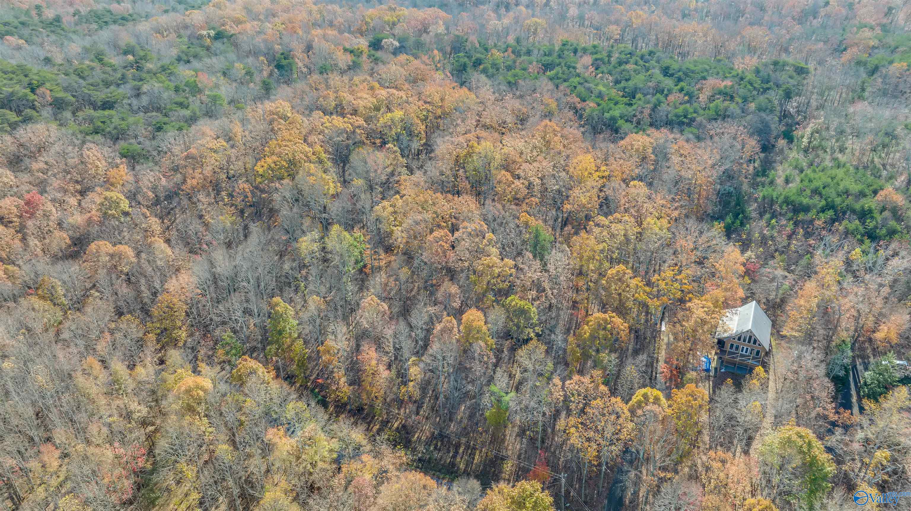 Lot 17 Citadel Rock Road, Fort Payne, Alabama image 18