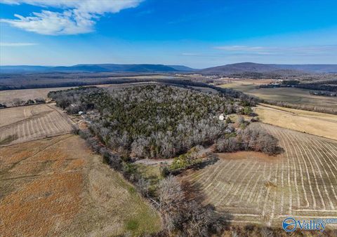 Vacant Land For Sale - 7.58 ACRES-LOT1 County Road 214<br/> Jackson County, Woodville, AL 35776