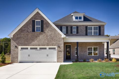 Homes For Sale - 9506 Hampton Oak Drive<br/> Owens Cross Roads, AL 35763