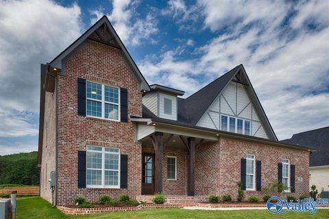 Photo of 8113 Goose Ridge Drive, Owens Cross Roads, AL 35763 (MLS # 21911797)