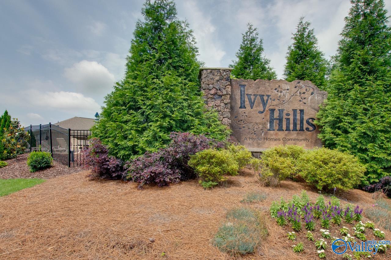 108 Ivy Vine Drive, Toney, Alabama image 32