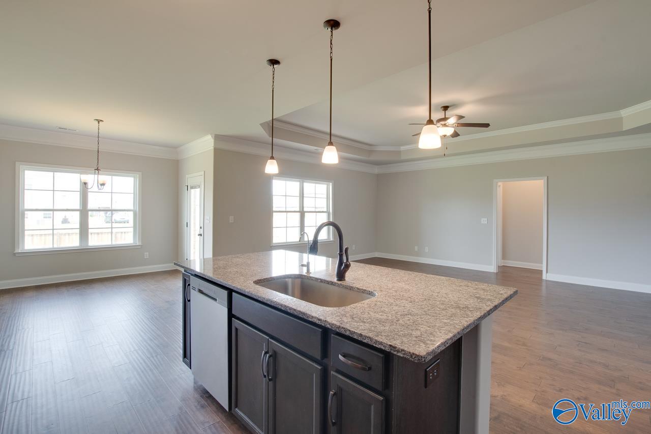 108 Ivy Vine Drive, Toney, Alabama image 11