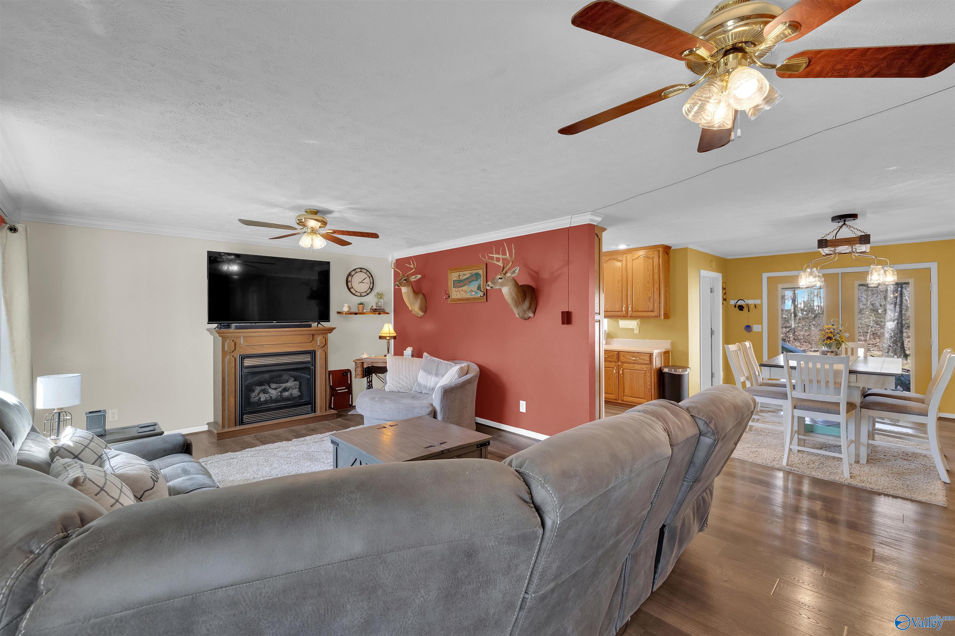 987 6th Street, Sylvania, Alabama image 4