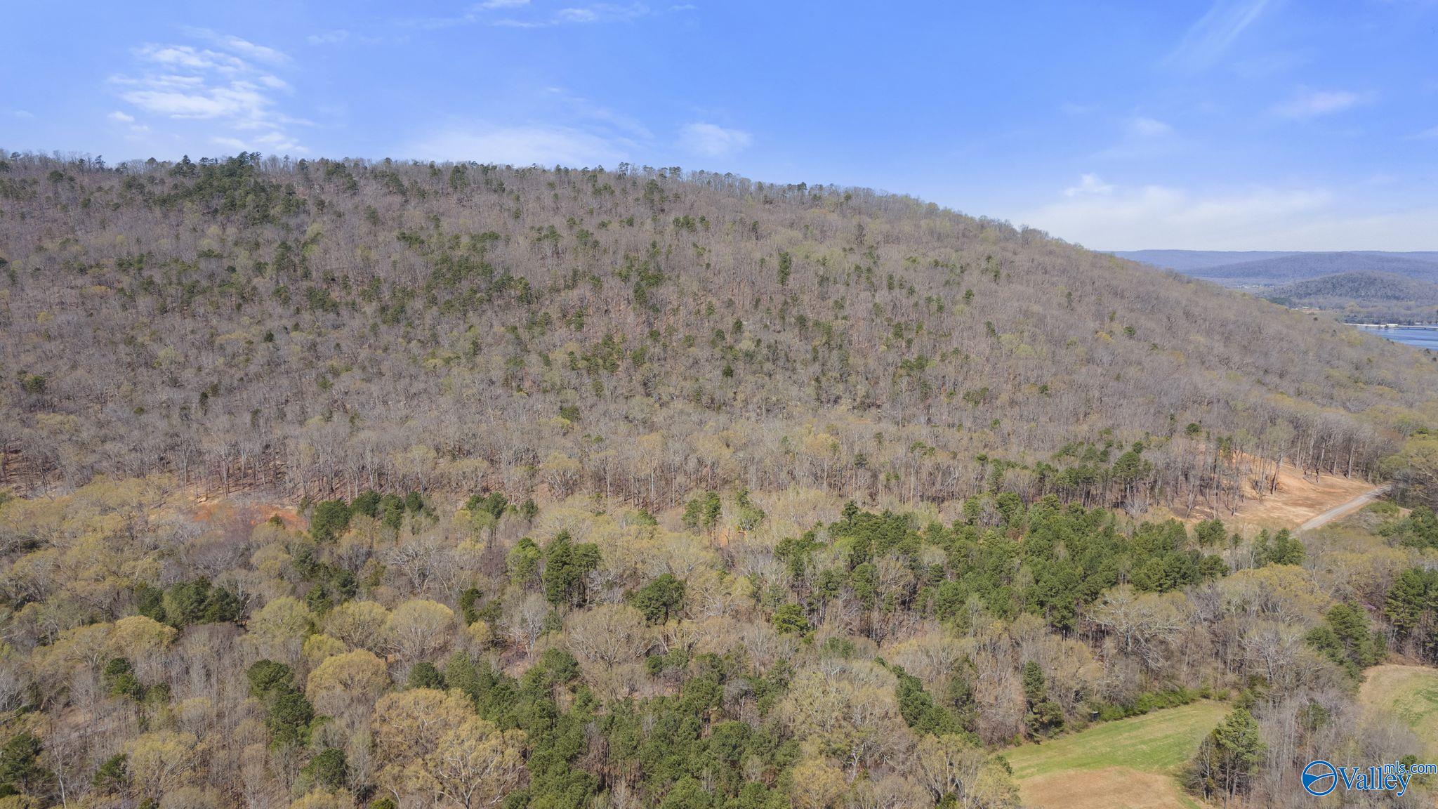 L 900 County Road 114, Scottsboro, Alabama image 13
