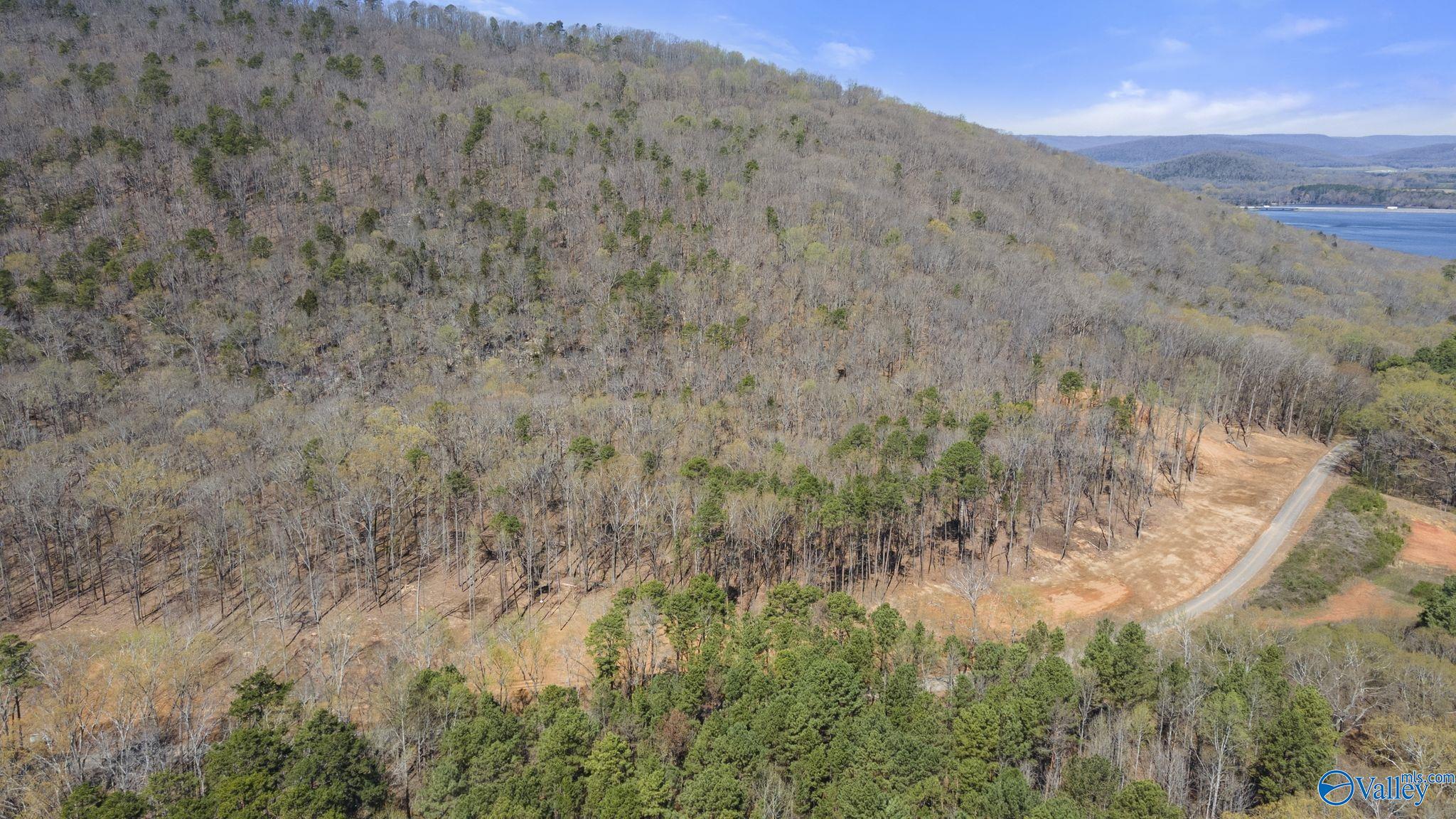 L 900 County Road 114, Scottsboro, Alabama image 10