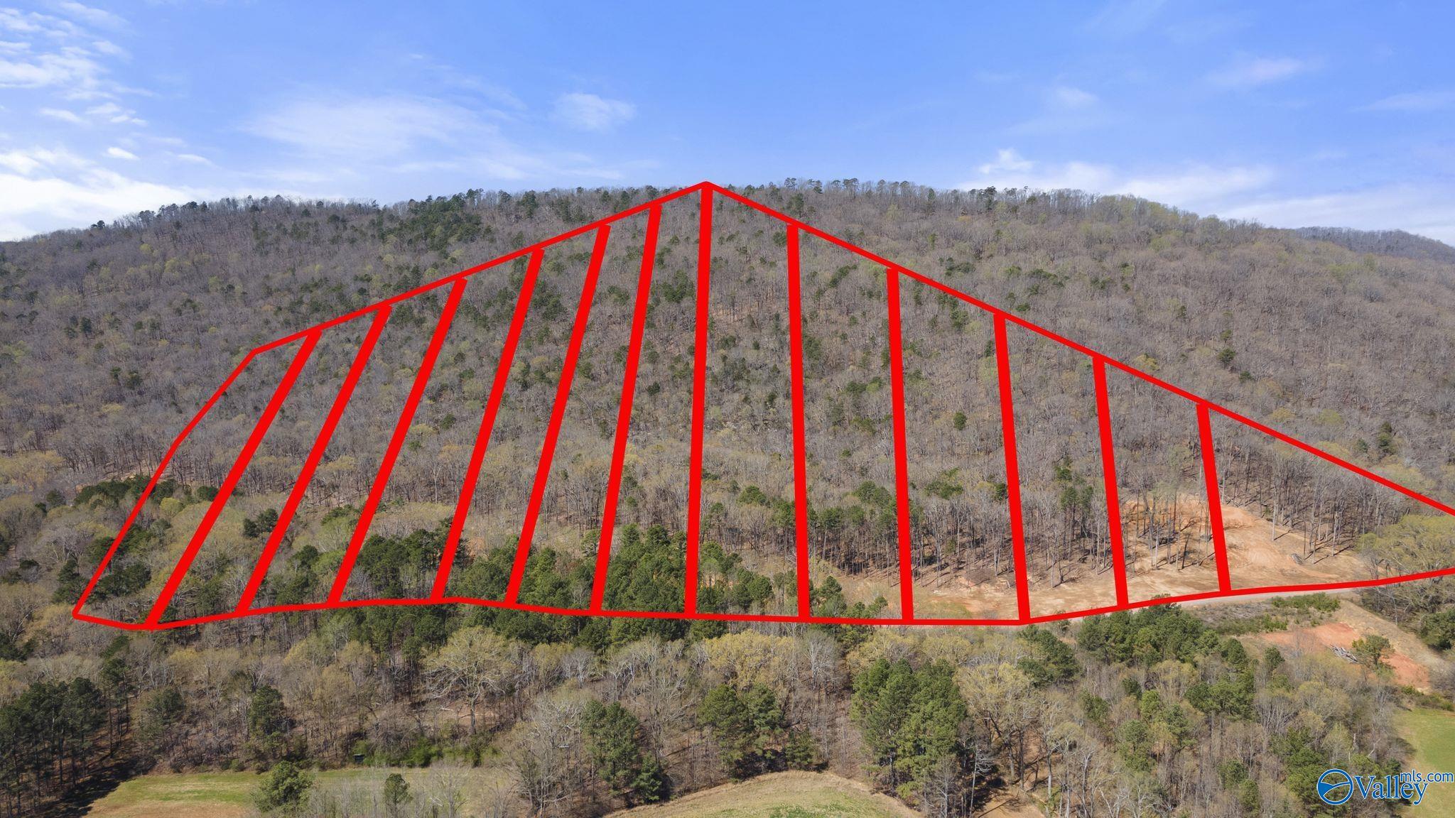 L 900 County Road 114, Scottsboro, Alabama image 6