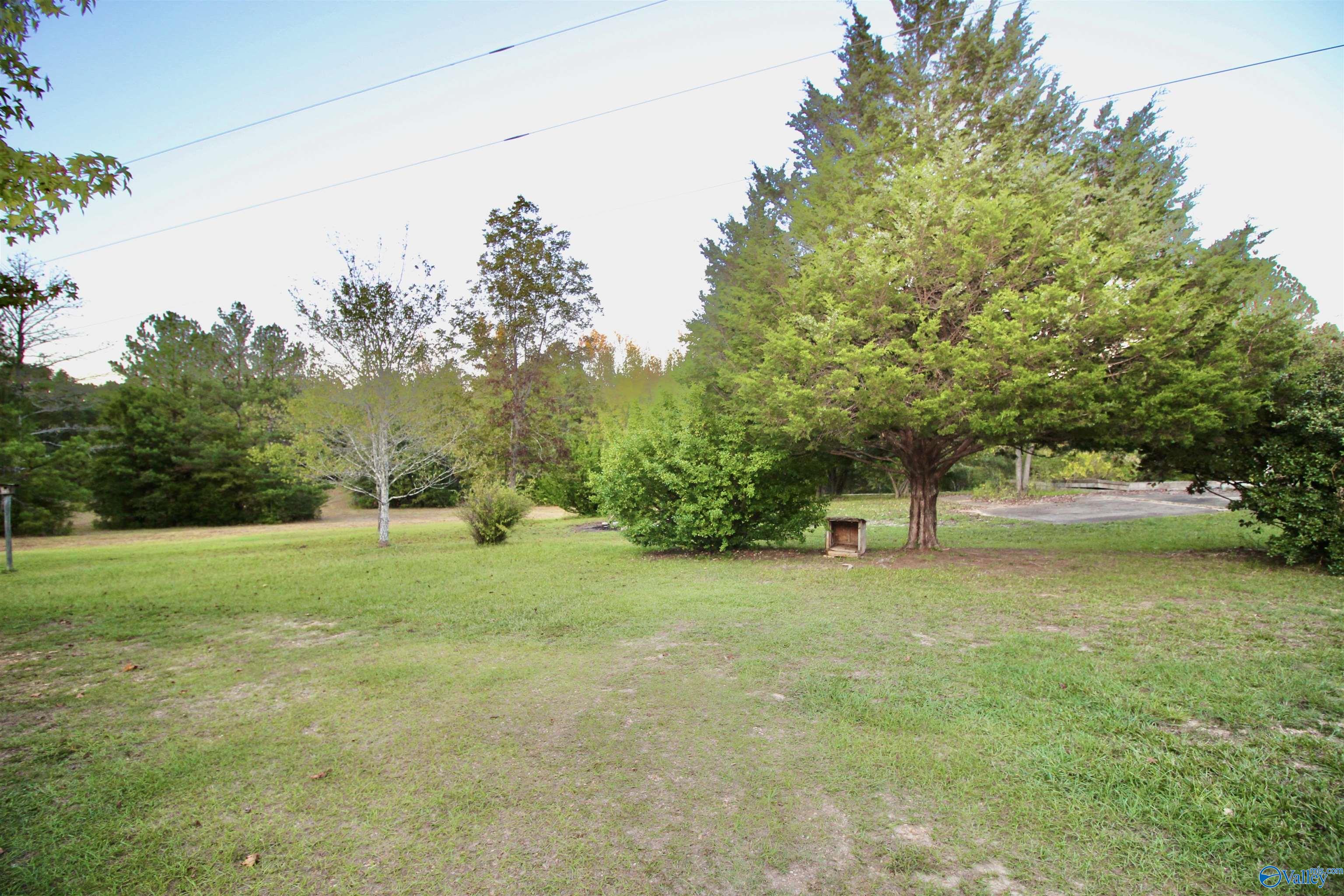 2160 County Road 33, Piedmont, Alabama image 4