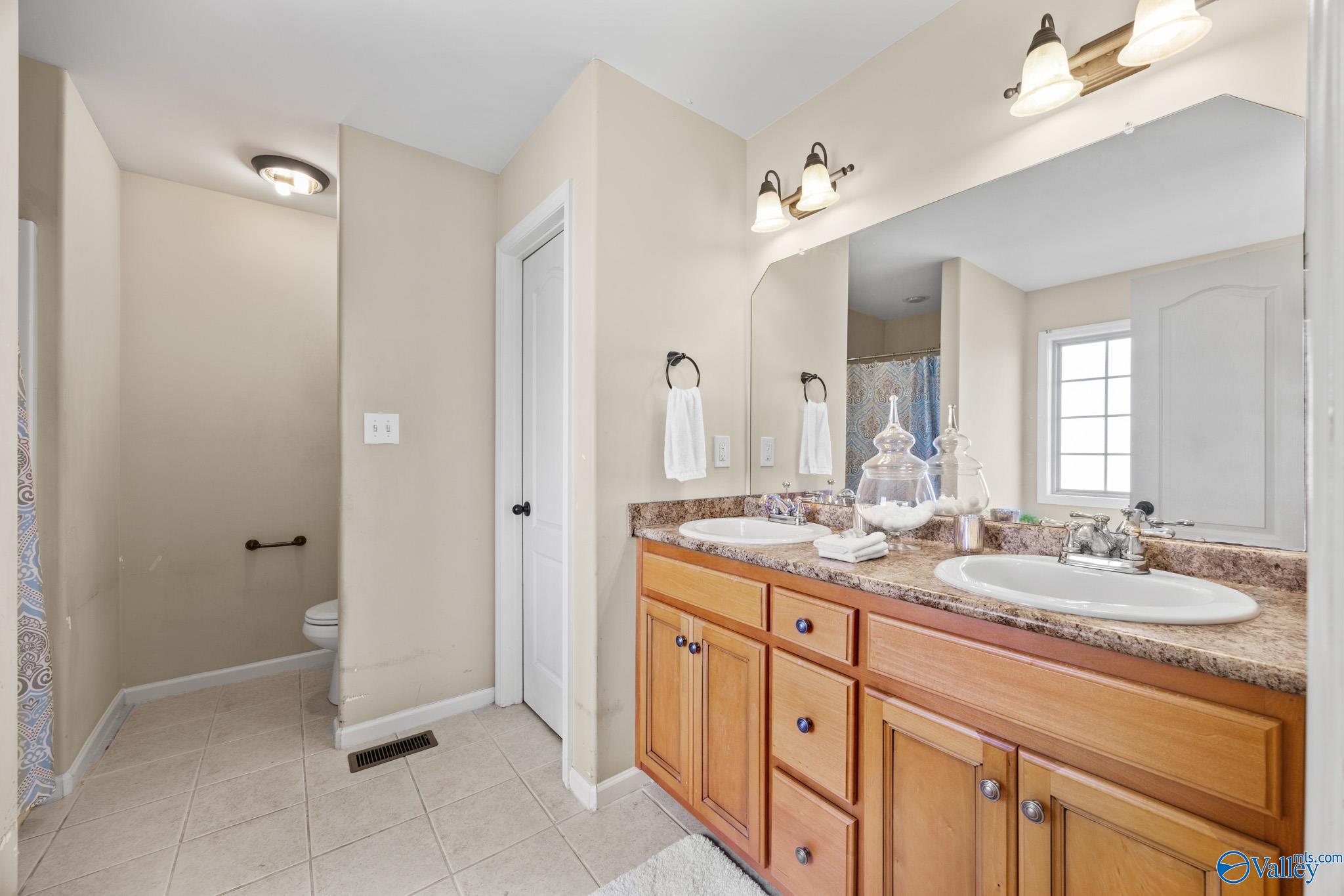 102 Landings Way Drive, Toney, Alabama image 19