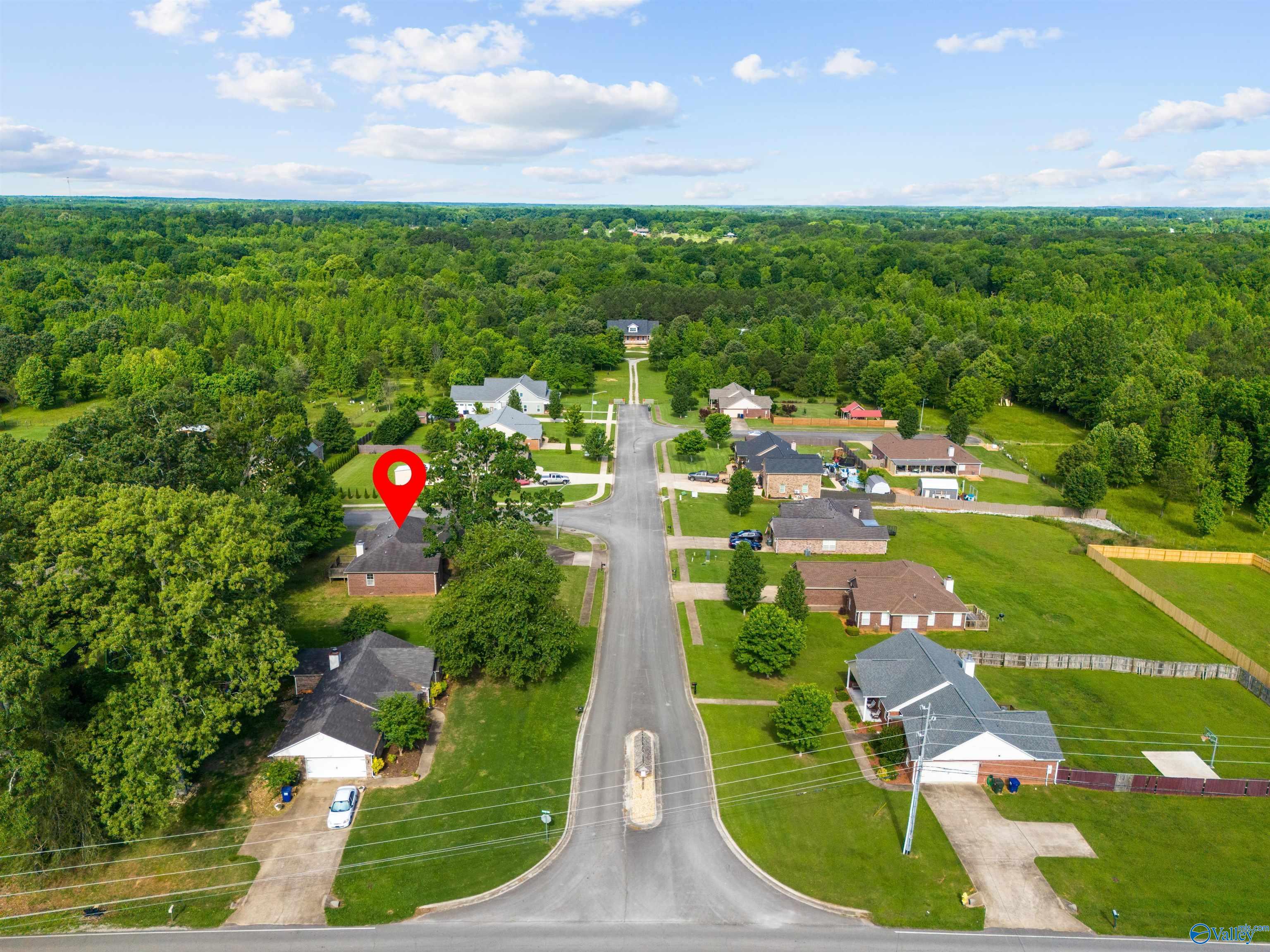 102 Landings Way Drive, Toney, Alabama image 28