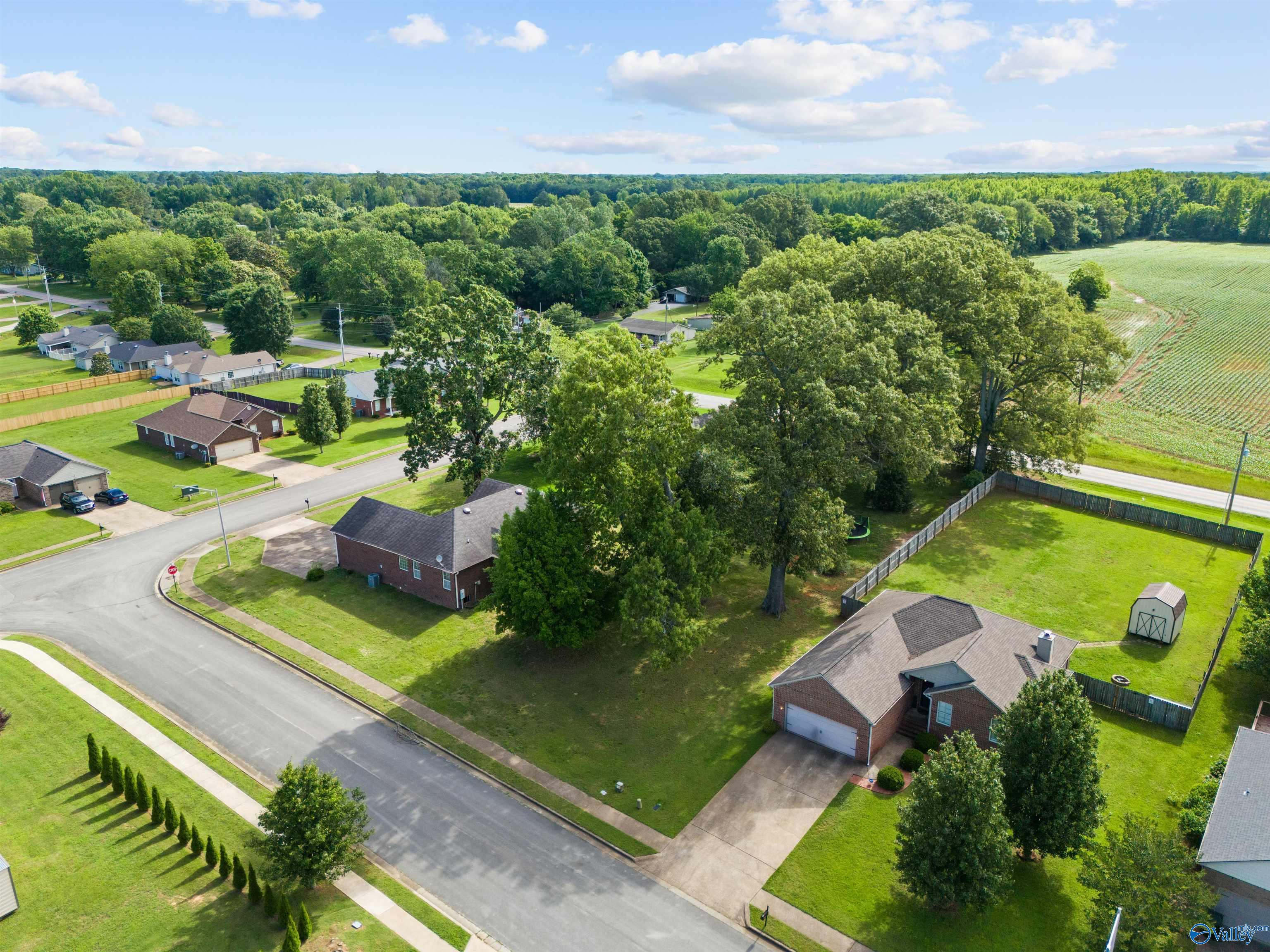 102 Landings Way Drive, Toney, Alabama image 27