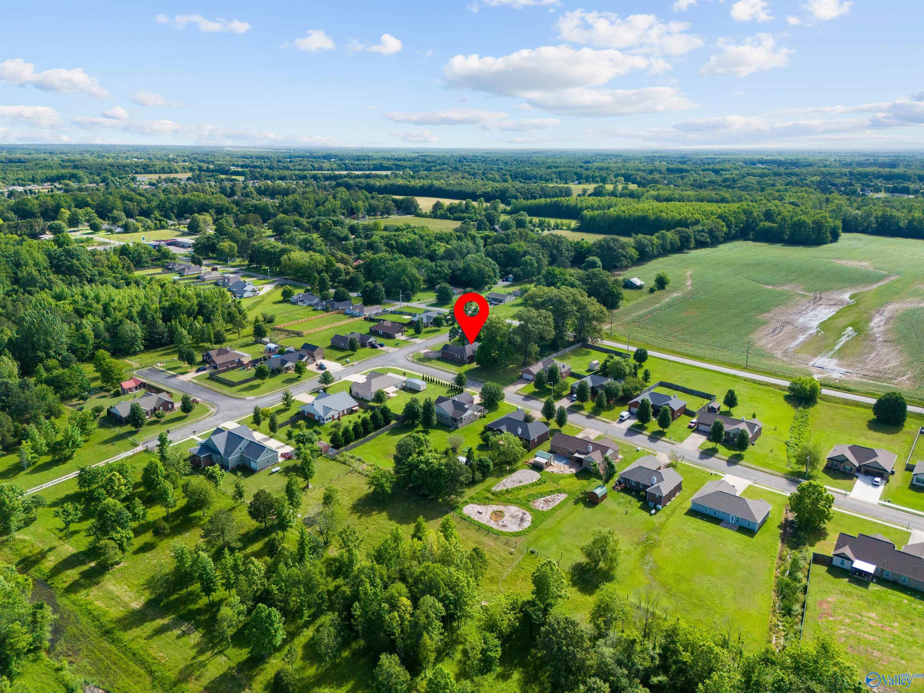 102 Landings Way Drive, Toney, Alabama image 29