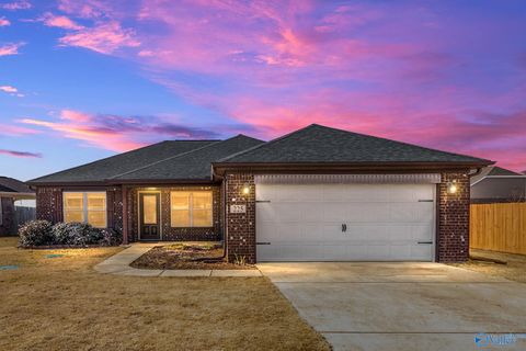 Homes For Sale - 225 Maggie Mance Lane<br/> Harvest, AL 35749