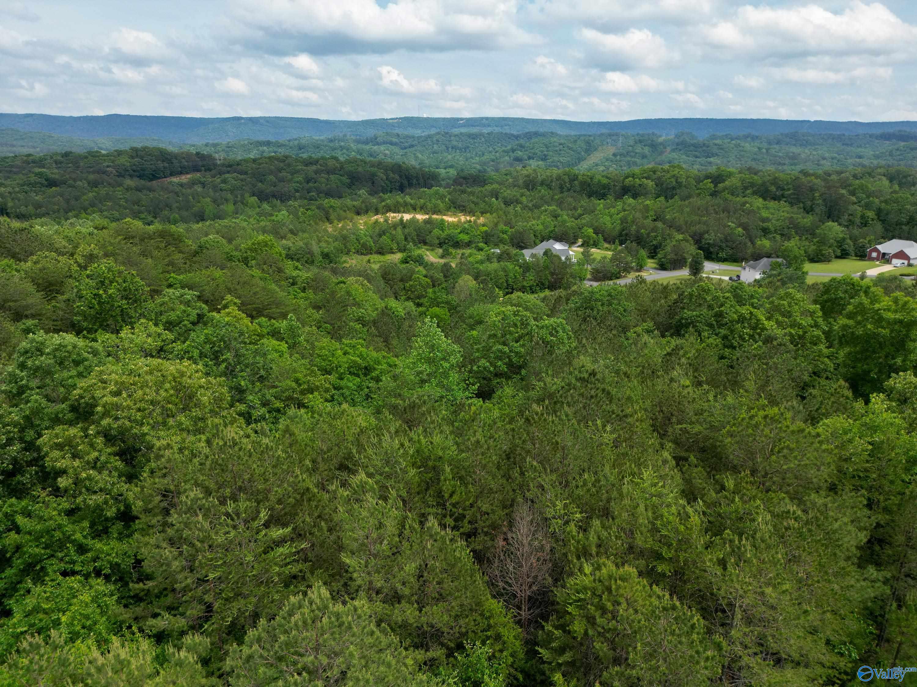 LOT 3 S Hillside Drive, Fort Payne, Alabama image 6