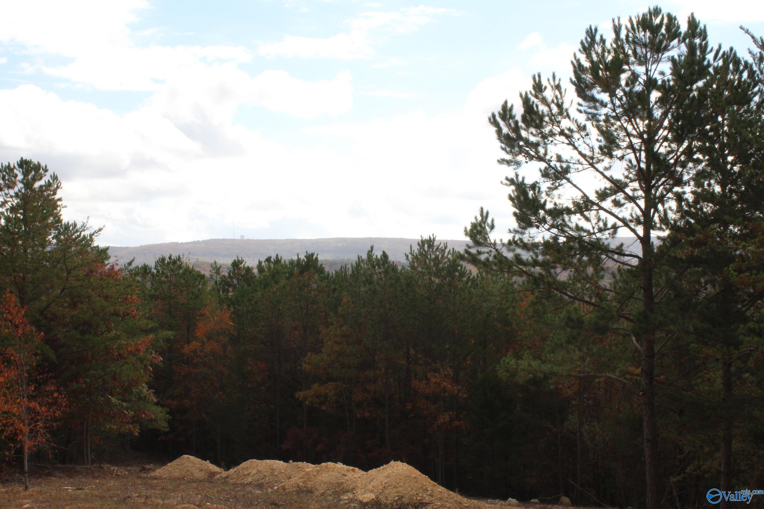 LOT 3 S Hillside Drive, Fort Payne, Alabama image 5