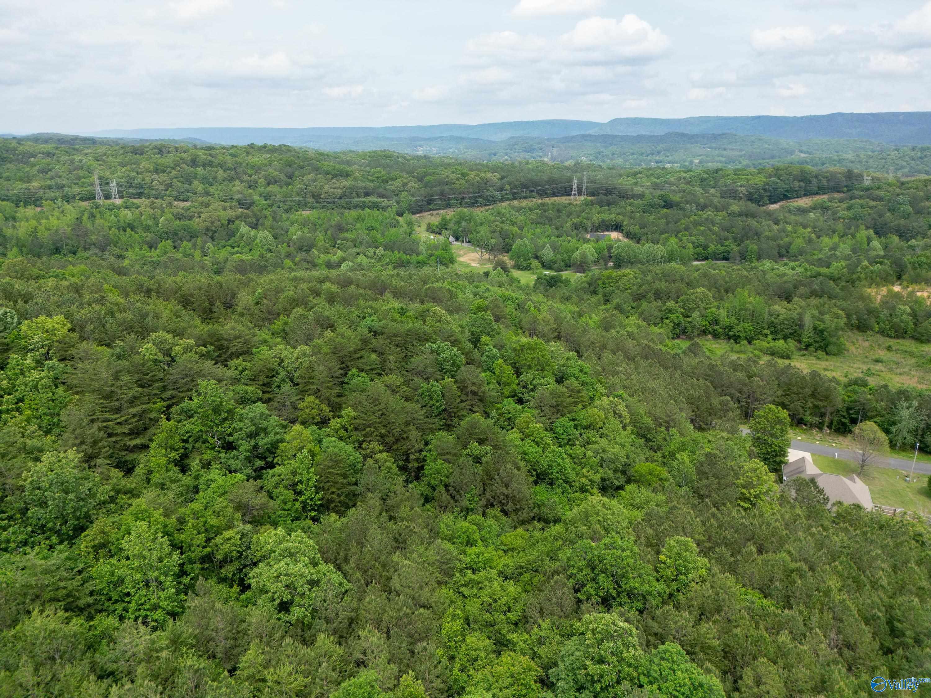 LOT 3 S Hillside Drive, Fort Payne, Alabama image 3