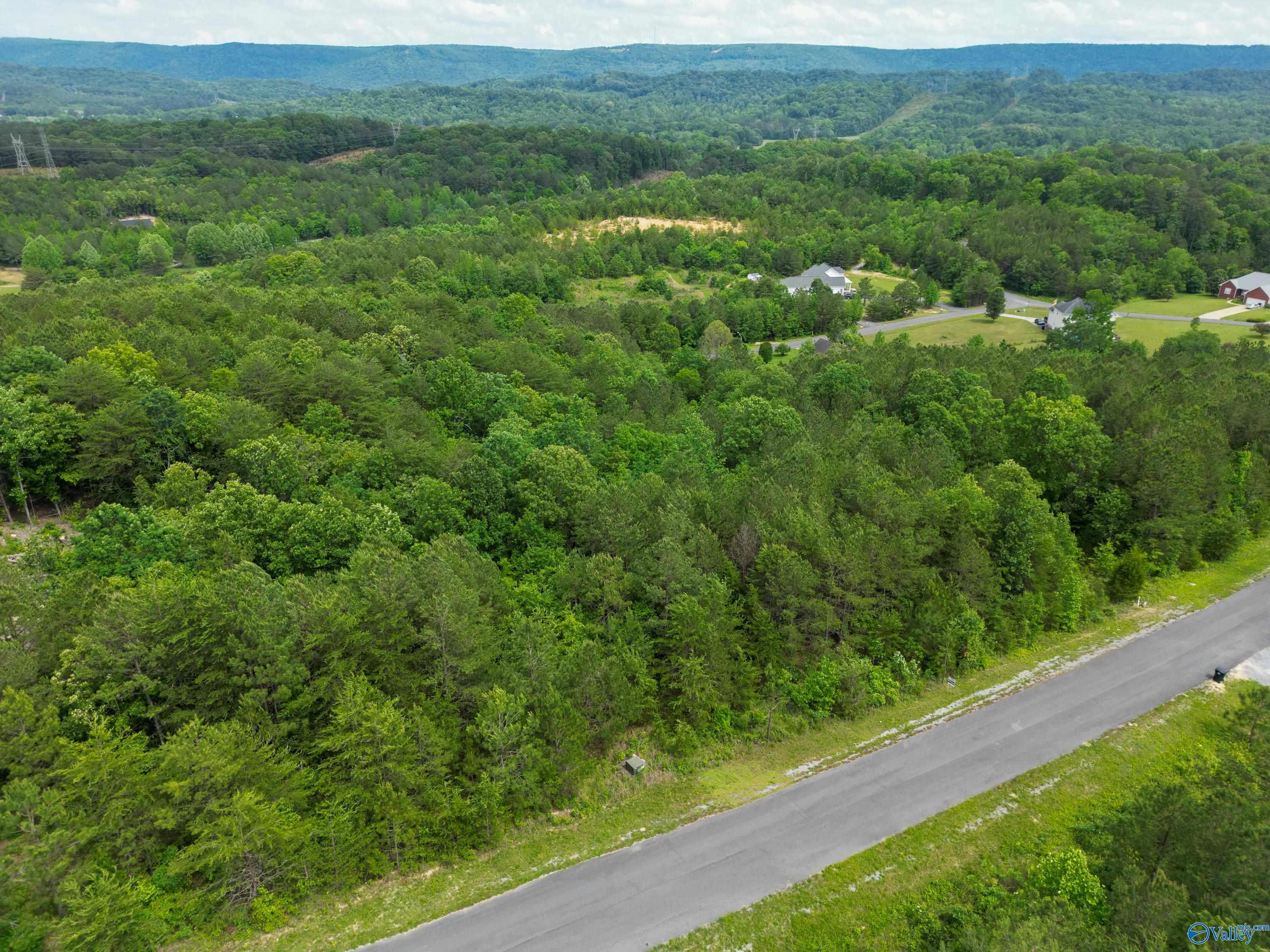 LOT 3 S Hillside Drive, Fort Payne, Alabama image 1