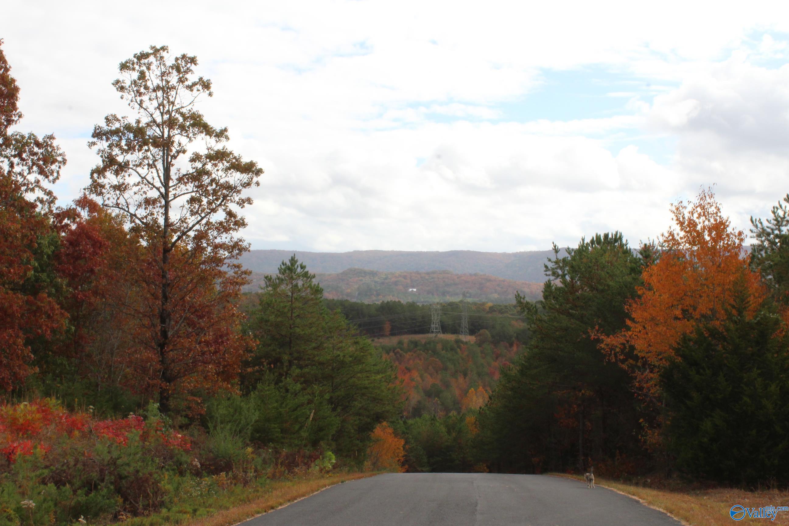 LOT 3 S Hillside Drive, Fort Payne, Alabama image 4