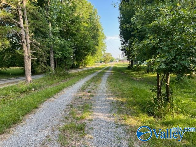 8 E Woods Private Drive, Falkville, Alabama image 1