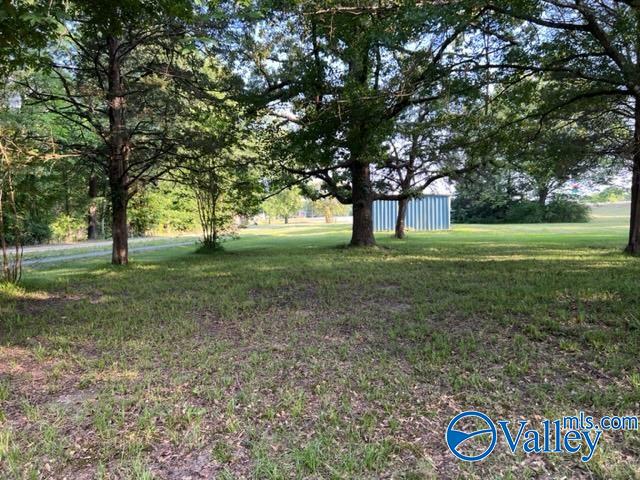 8 E Woods Private Drive, Falkville, Alabama image 13