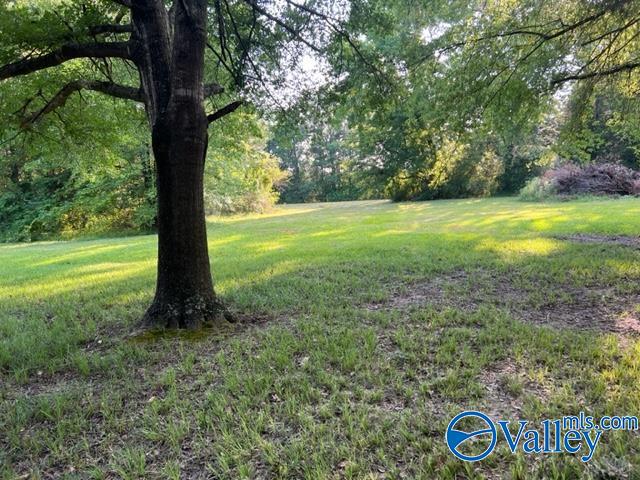 8 E Woods Private Drive, Falkville, Alabama image 21