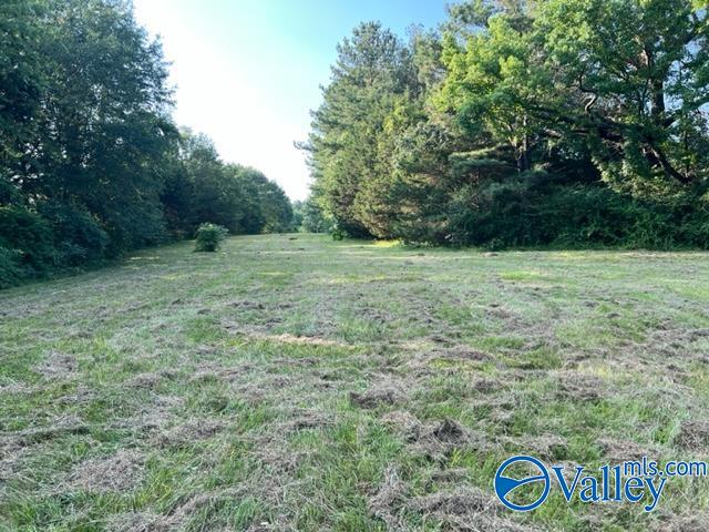 8 E Woods Private Drive, Falkville, Alabama image 18