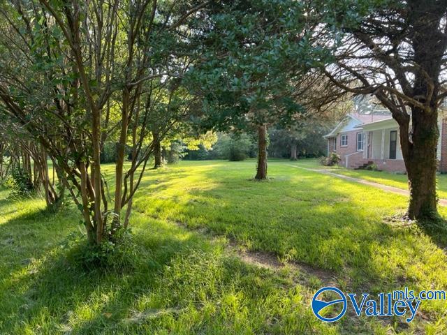 8 E Woods Private Drive, Falkville, Alabama image 7