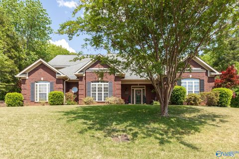 Photo of 6512 Sparkling Dew Lane, Huntsville, AL 35810 (MLS # 21916889)