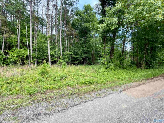 3 COUNTY RD 235, LEESBURG, AL 35983 - Image 8a7083f7798f638ea4cc2dc8345da9f4/3738890377