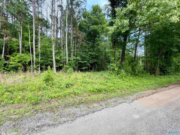 Photo 1 of 7 — 3.90 County Road 235, Leesburg, AL 35983