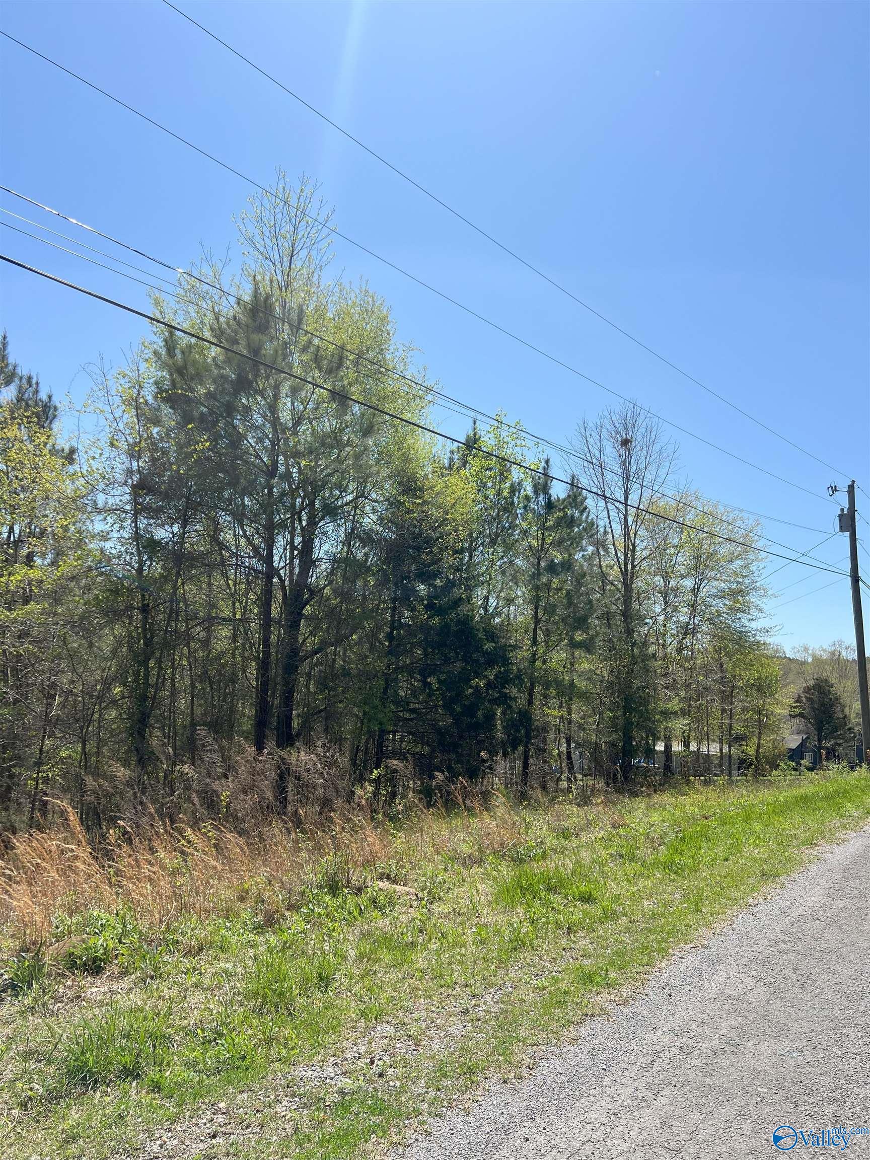 011 County Road 3782, Arley, Alabama image 10