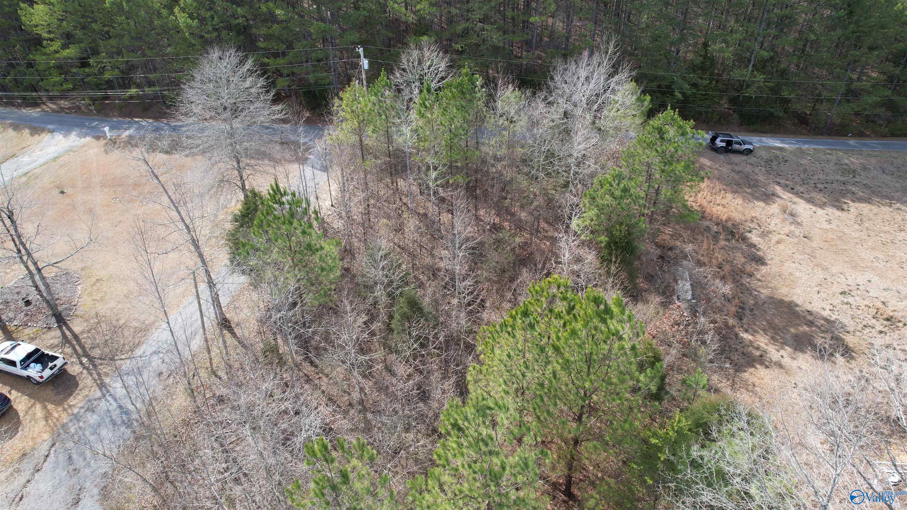 011 County Road 3782, Arley, Alabama image 3