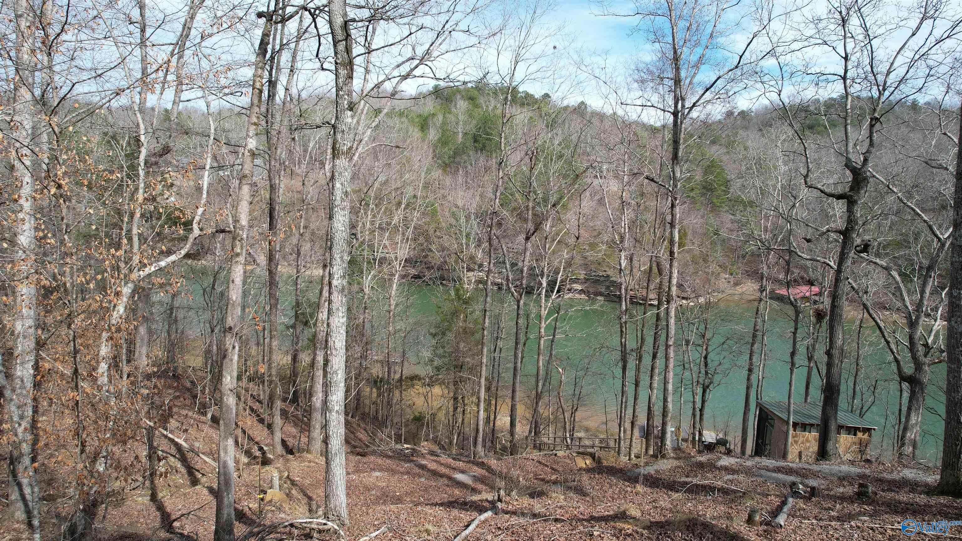 011 County Road 3782, Arley, Alabama image 2
