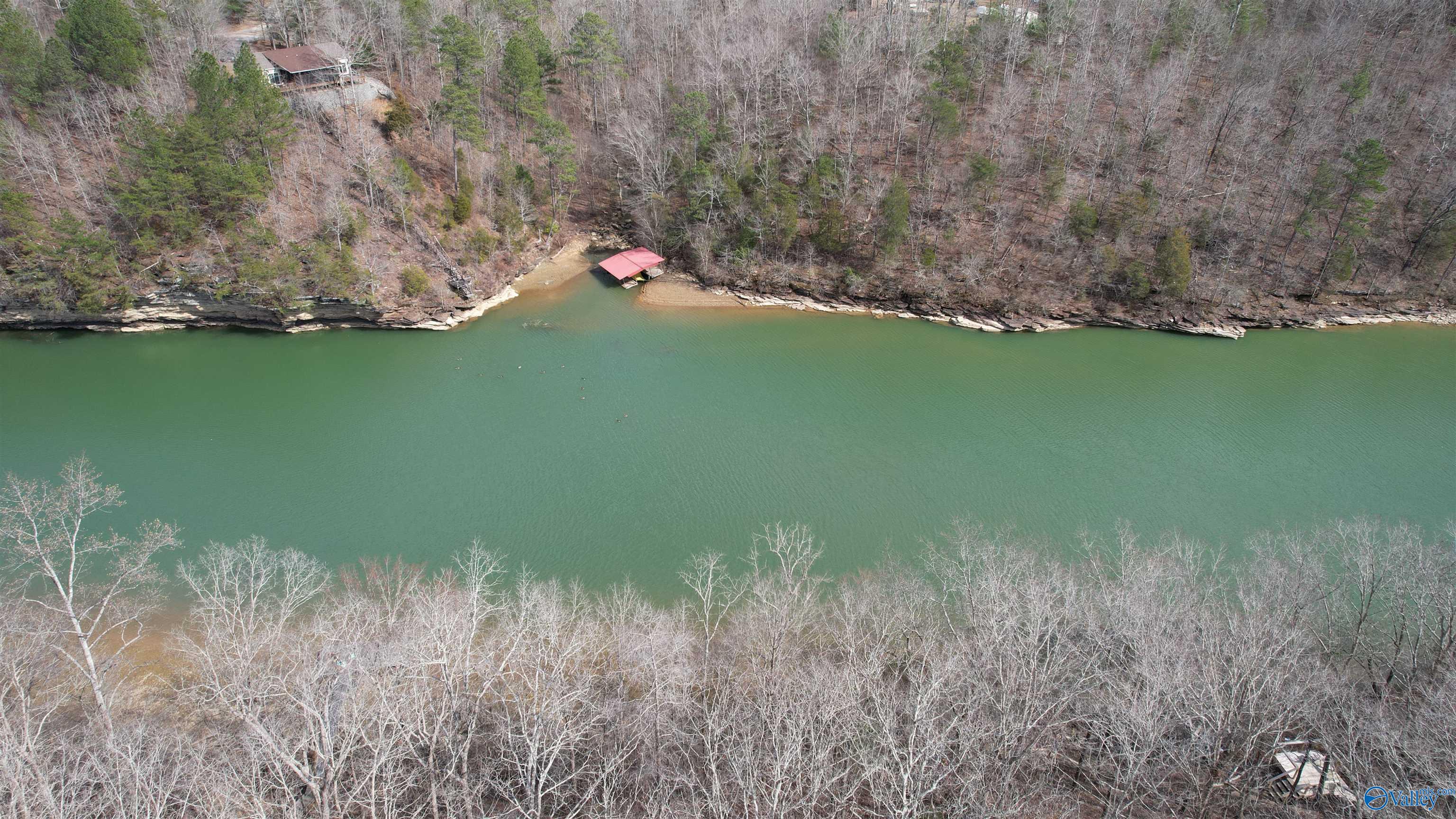 011 County Road 3782, Arley, Alabama image 5