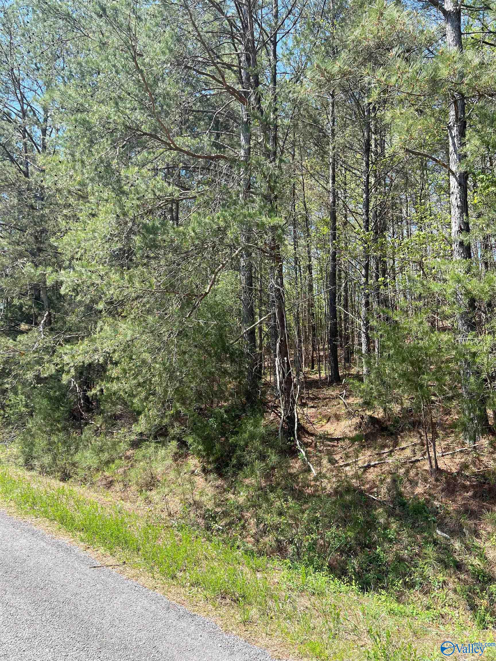011 County Road 3782, Arley, Alabama image 11