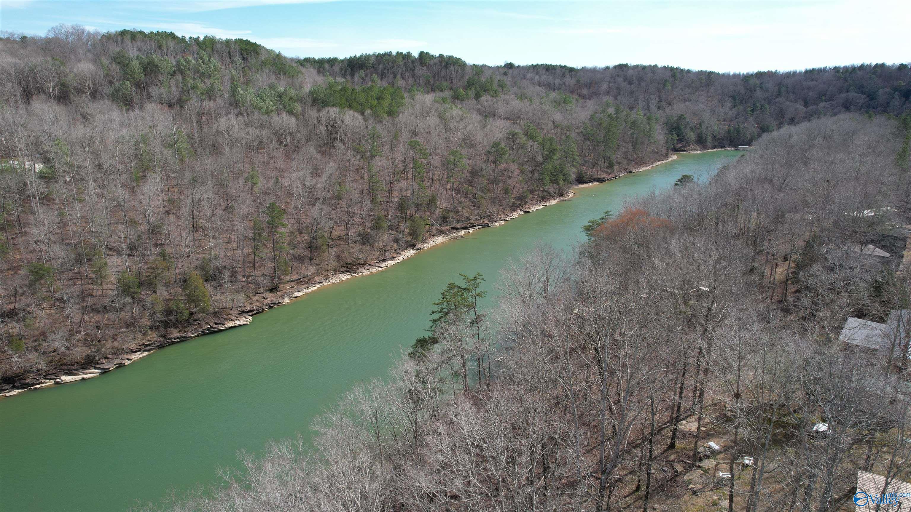 011 County Road 3782, Arley, Alabama image 1