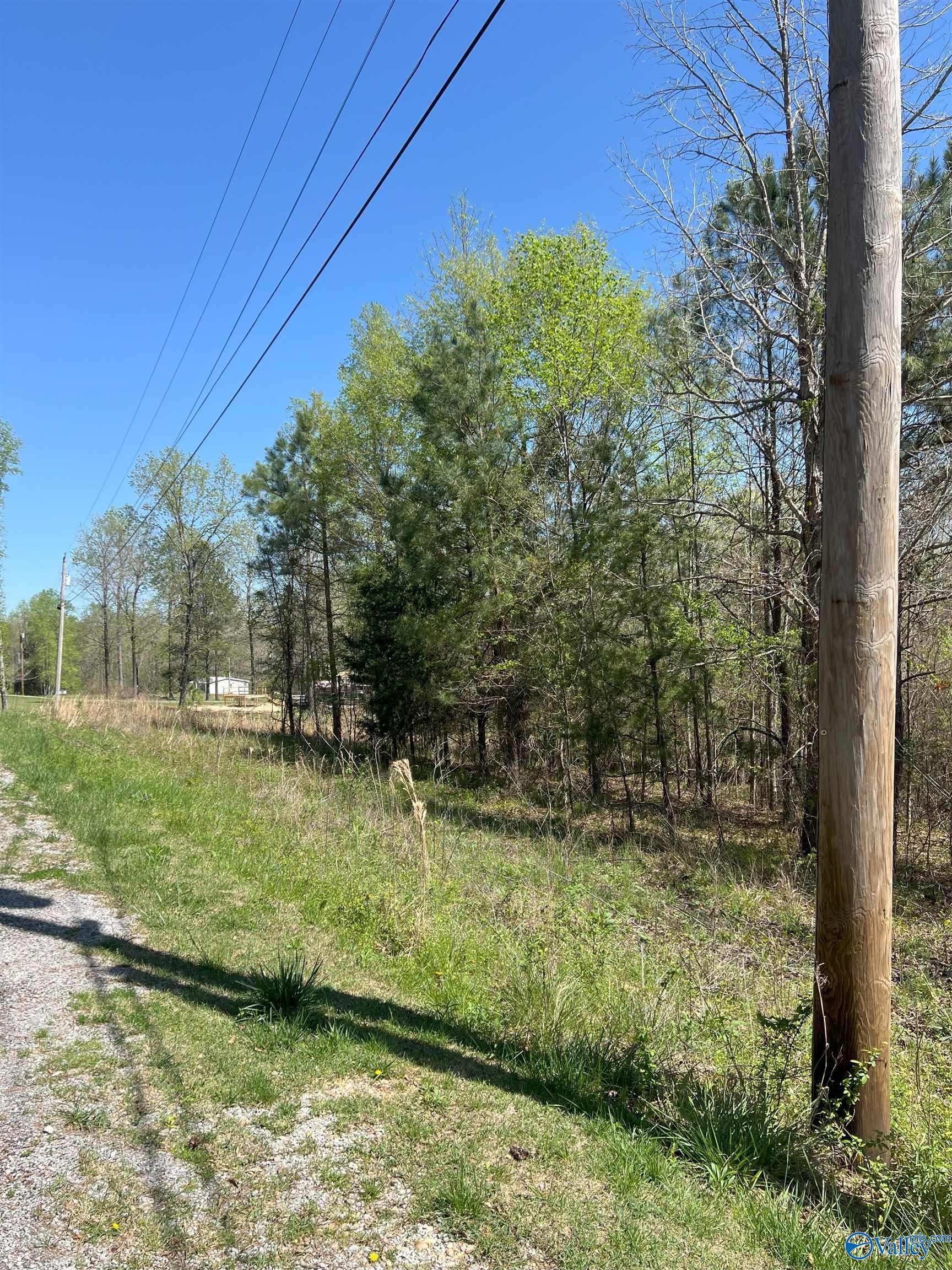 011 County Road 3782, Arley, Alabama image 9