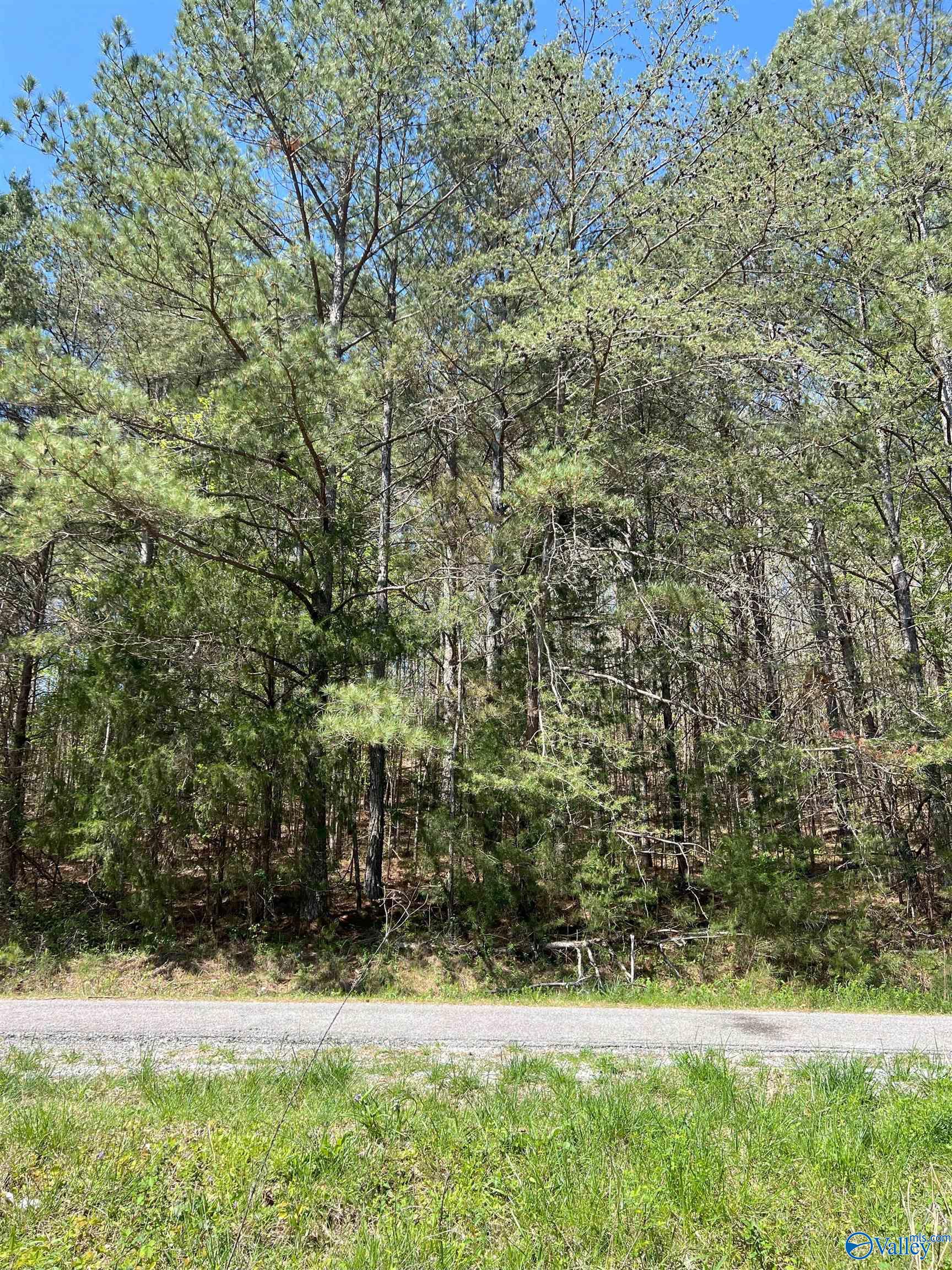 011 County Road 3782, Arley, Alabama image 12