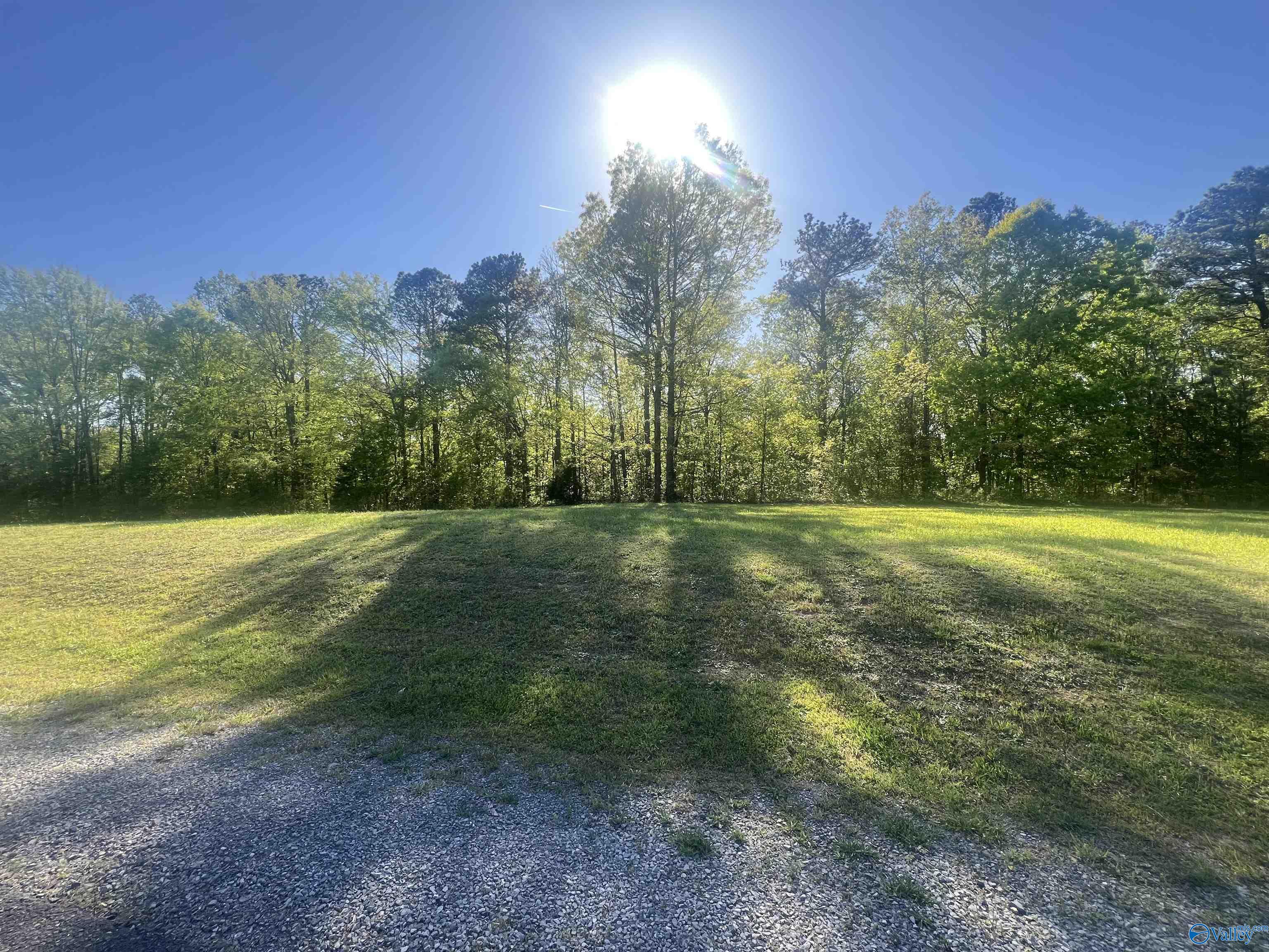 14 Worthington Lane, Guntersville, Alabama image 5